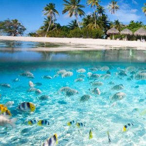 St. Vincent & Grenadines